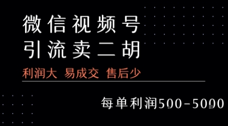 视频号卖货实操案例详解（高利润单品）-狂金网创