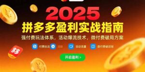 拼多多店铺盈利实战运营教程（付费玩法，活动爆流技术）-狂金网创