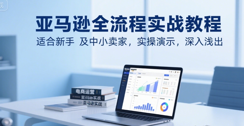 新手亚马逊入门实战视频教程（全流程实战，适合新手及中小卖家）-狂金网创