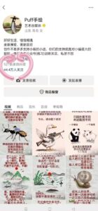 手绘视频制作教程(附:实战案例,适合新手)-狂金网创