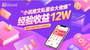 小说推文详细教程(附:爆单经验分享)-狂金网创