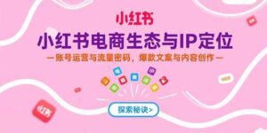 小红书电商详细实战教程（IP定位，爆款文案，内容创作）-狂金网创