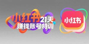 小红书新手赚钱教程（账号定位技巧，粉文案创作，科学引流）-狂金网创