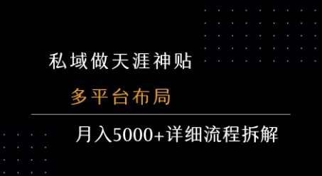 天涯神贴私域玩法（多平台布局，详细流程拆解）-狂金网创