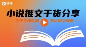 小说推文实战经验分享（快手爆款干货实操案例）-狂金网创