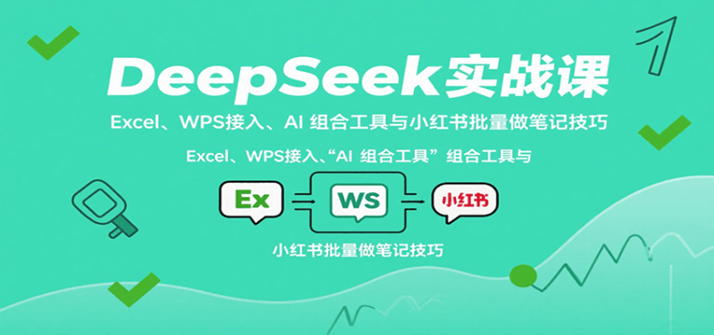 DeepSeek实战教程，高效+高阶技巧（Excel、WPS接入、AI 组合工具与小红书）-狂金网创