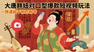 大唐胖妞对口型爆款短视频玩法（抖音快速起千粉万粉号）-狂金网创