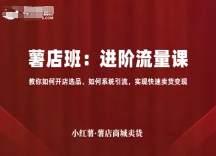 小红书店铺卖货，进阶流量课（开店选品、系统引流，实现快速卖货变现）-狂金网创