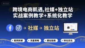 跨境电商社媒+独立站系统教程（实战案例教学）-狂金网创