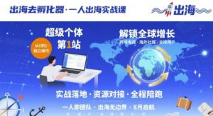 一人/个体出海实战经验+教程（一人跨进电商）-狂金网创