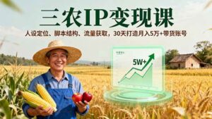 自媒体三农IP(人设定位、脚本结构、拍摄制作、流量获取,变现)-狂金网创