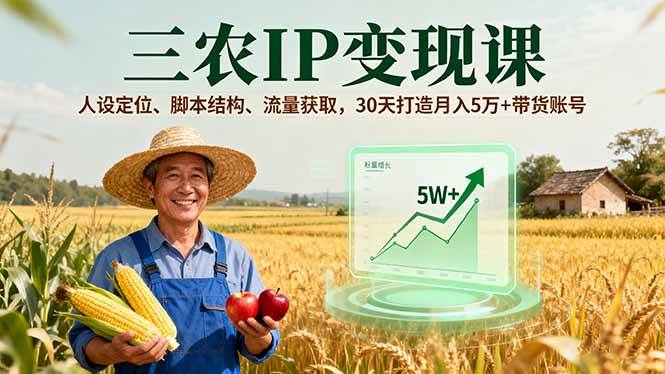 自媒体三农IP（人设定位、脚本结构、拍摄制作、流量获取，变现）-狂金网创