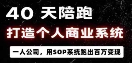 个人商业系统+一人公司（产品+变现）-狂金网创