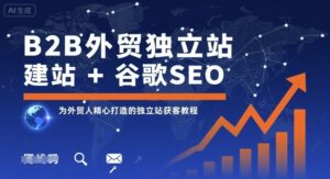 B2B外贸独立站建站+谷歌SEO（外贸独立站获客教程）-狂金网创