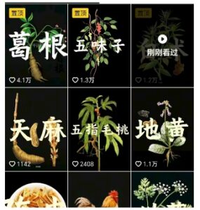 抖音中草药赛道（用AI做中草药故事视频+橱窗带货）-狂金网创