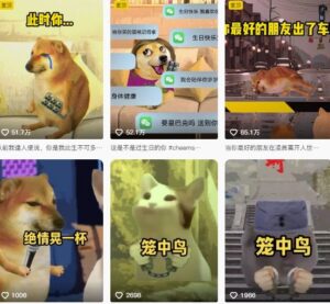 狗头幸运星UE5动画全套课程(附:源文件、贴图、表情、模型、骨骼绑定)-狂金网创