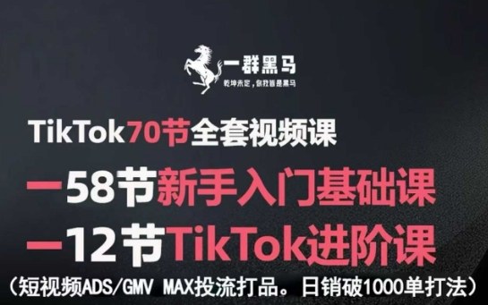 TikTok短视频投流破销1000+（新手入门+进阶课）-狂金网创